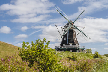 Germany, Schleswig-Holstein, Pellworm, Nordermuhle mill in spring