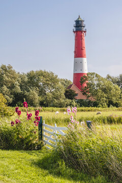Germany, Schleswig-Holstein, Pellworm, Flowers blooming in front of rustic gate withPellwormLighthouse in background