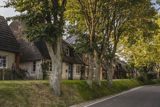 Germany, Schleswig-Holstein, Pellworm, Rustic houses in Tilli