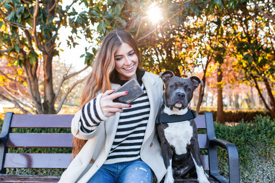 Young woman taking a selfie with her american stanford dog