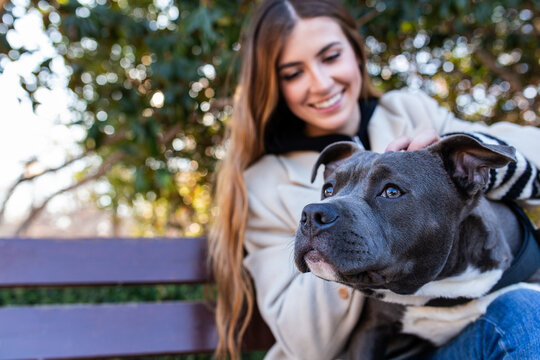 Young woman having fun with her american stanford dog