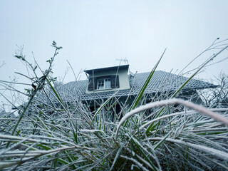 Low angle view of rustic house seen through frozen blades of grass
