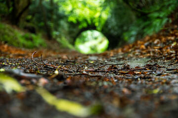 tunnel from the ground 