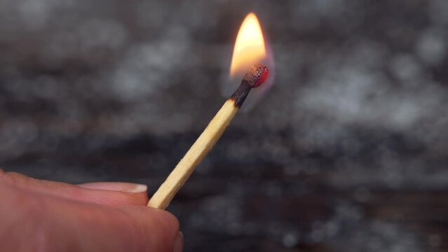 Firing match close up, burning with orange flame