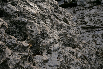 Abstract stone texture. Background for design purpose. Rough textured surface.