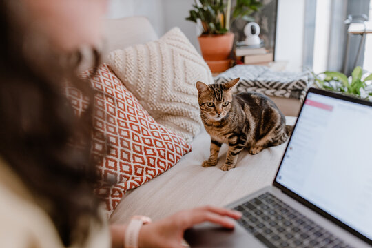 Woman at home during a video call with a happy man