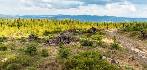 Fototapeta na wymiar Springtime Moravskoslezske Beskydy mountains from trail bellow Travny hill in Czech republic