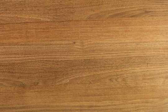 legno 2