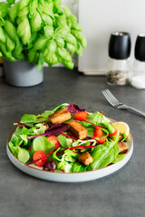 Healthy salad with roasted tempeh, cherry tomatos, beetroot straws, spinash and lettuce leaves on plate. Tempeh is fermented soy bean. Plant based protein. Healthy eating. Vertical card. Go vegan