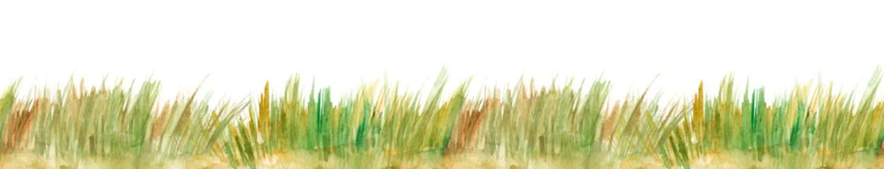 Fotobehang Watercolor illustration of green color wild grasses on white background © Маргарита Шевчишена