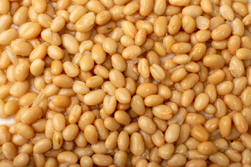 White Kidney Beans Isolated