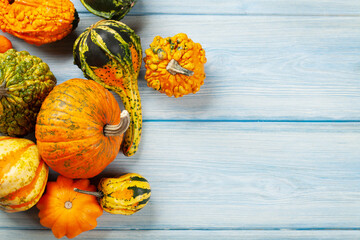 Various colorful squashes and pumpkins