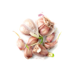 Whole Garlic Clove Isolated on White Background Top View