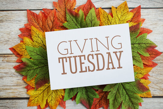 Giving Tuesday text message with maple leaves on wooden background