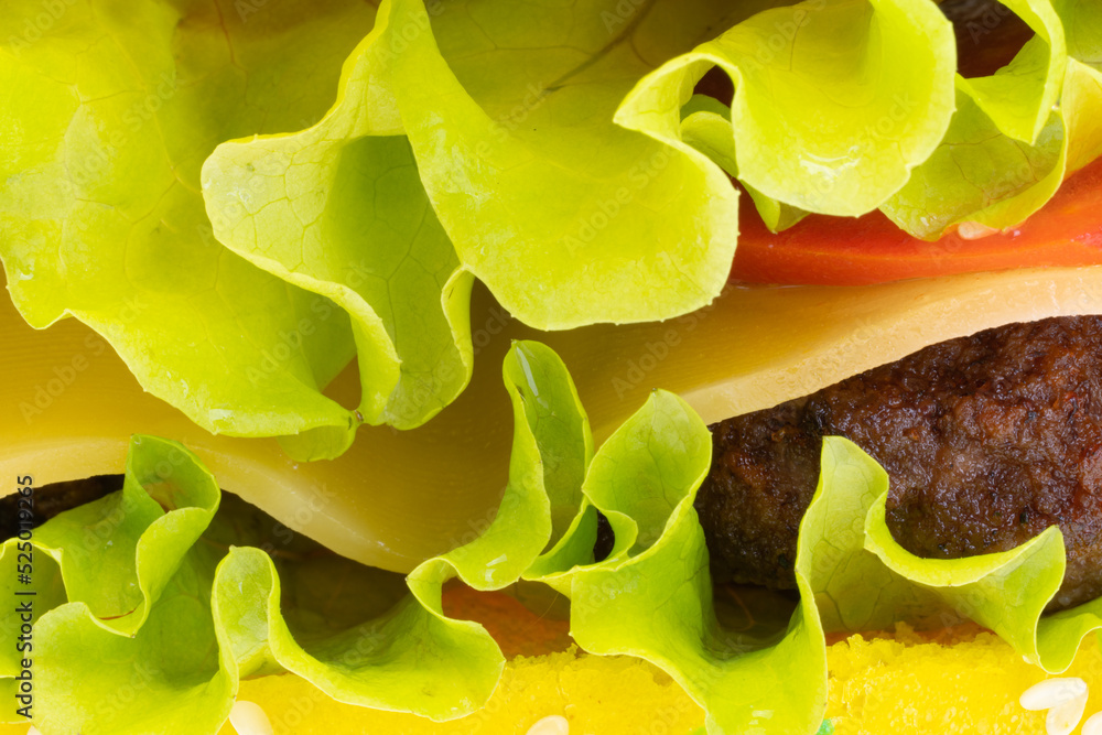 Poster burger with lettuce and patty close-up