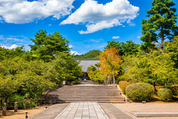 真夏の京都・仁和寺で見た、金堂へ続く道の左右に生い茂る新緑の木々と快晴の青空