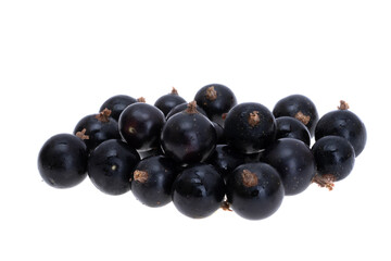 blackcurrant isolated