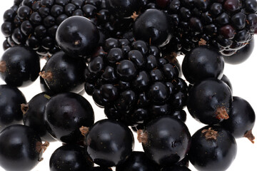 blackcurrant isolated