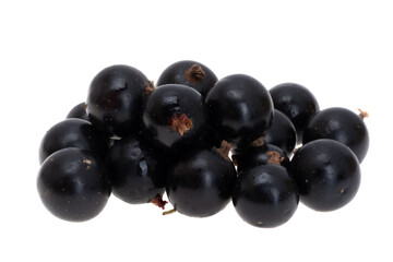 blackcurrant isolated