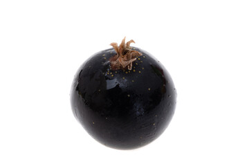 blackcurrant isolated