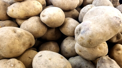 Close-up View of Raw Baby Potatoes