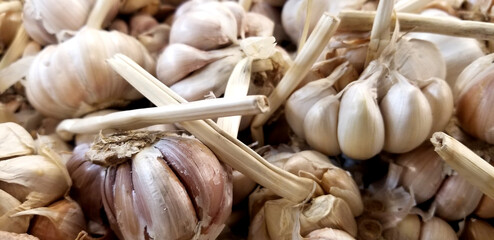 Close-up View of Raw Garlic