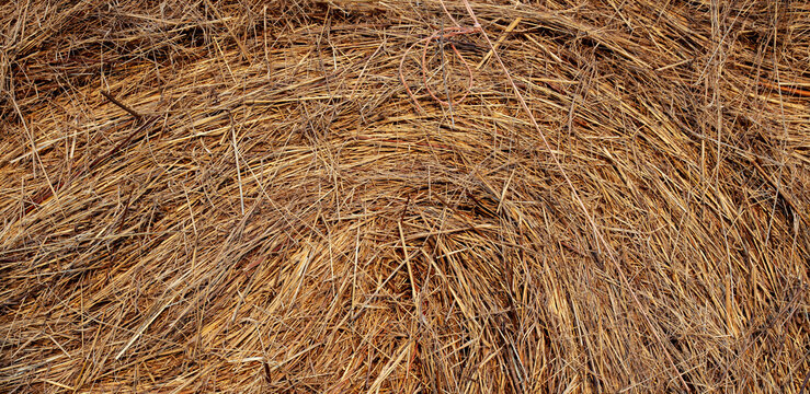 A bale with hay for horses. Close up photo. Banner background