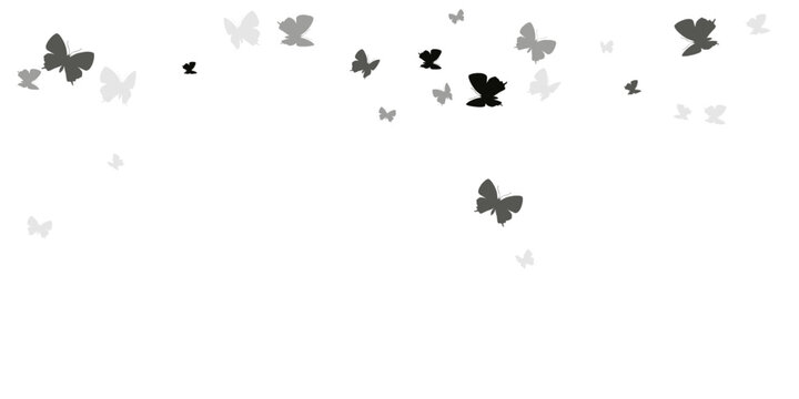 Fairy black butterflies cartoon vector illustration. Spring little moths. Wild butterflies cartoon girly background. Tender wings insects graphic design. Garden creatures.