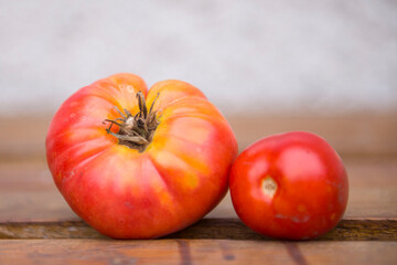 Ekologiczne pomidory z własnego warzywnika są bardzo zdrowe nie tylko dla człowieka. - obrazy, fototapety, plakaty