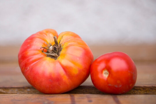 Ekologiczne pomidory z własnego warzywnika są bardzo zdrowe nie tylko dla człowieka.