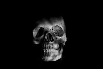 human skull on black background