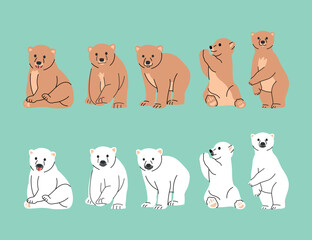 BROWN AND POLAR BEARS IN SOME DIFFERENT MOVES VECTOR ILLUSTRATION