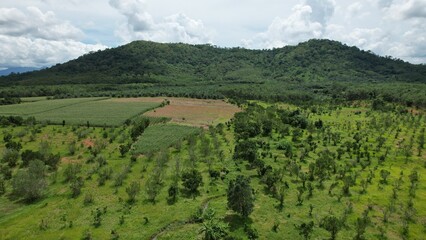 borneo agriculture