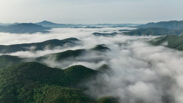Landscape with a sea of clouds in the morning between the mountains. 운해, 안개, 아침 풍경.