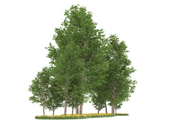 Forest on transparent background. 3d rendering - illustration