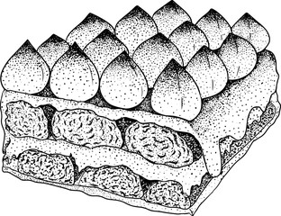 Delicious sweets and desserts. Hand drawn illustrations of popular traditional desserts.