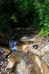 View of small stream in a green forest