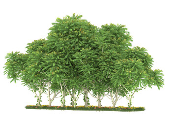 Obraz premium Forest on transparent background. 3d rendering - illustration
