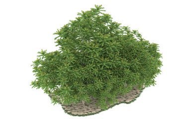 Forest on transparent background. 3d rendering - illustration