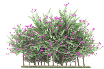 Forest on transparent background. 3d rendering - illustration