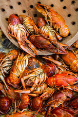 Boiled red crayfish or crawfish with herbs. Crayfish boiling in the pot on the fire