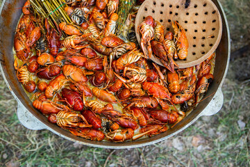 Boiled red crayfish or crawfish with herbs. Crayfish boiling in the pot on the fire