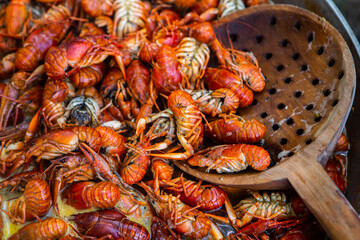 Boiled red crayfish or crawfish with herbs. Crayfish boiling in the pot on the fire