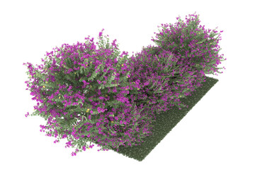 Forest on transparent background. 3d rendering - illustration