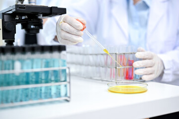 A professional chemist or scientist adjust liquid chemical samples in Petri dish. cropped image