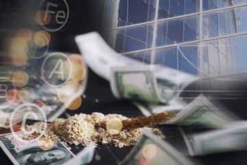 World grain crisis. Double exposure. A handful of cereals and 100 dollar banknotes on a blue...