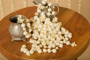 Jasmine Motia Flowers Decor Background
