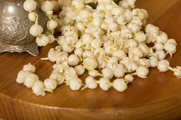 Jasmine Motia Flowers Decor Background