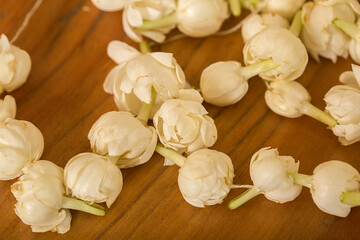 Jasmine Motia Flowers Decor Background