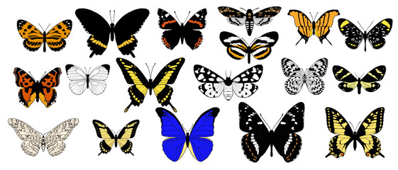 Fototapeta na wymiar vector drawing set of butterflies,moth collection, insects isolated at white background, hand drawn illustration
